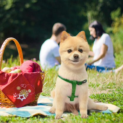 PUPTECK No Pull Dog Harness Soft Adjustable Basic Nylon Step in Puppy Vest Outdoor Walking with ID
