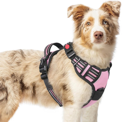 rabbitgoo Dog Harness Medium Sized, No Pull Pet Harness with 3 Buckles, Adjustable Soft Padded Vest