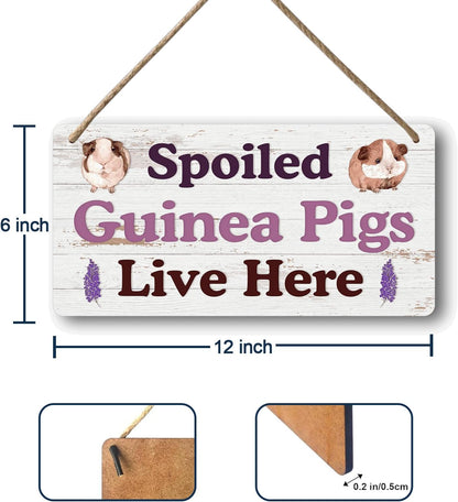 Big Hamster Ball & Guinea Pig Hideout - Stuffed Animals & Accessories for Guinea Pig Cage - 12x6 In