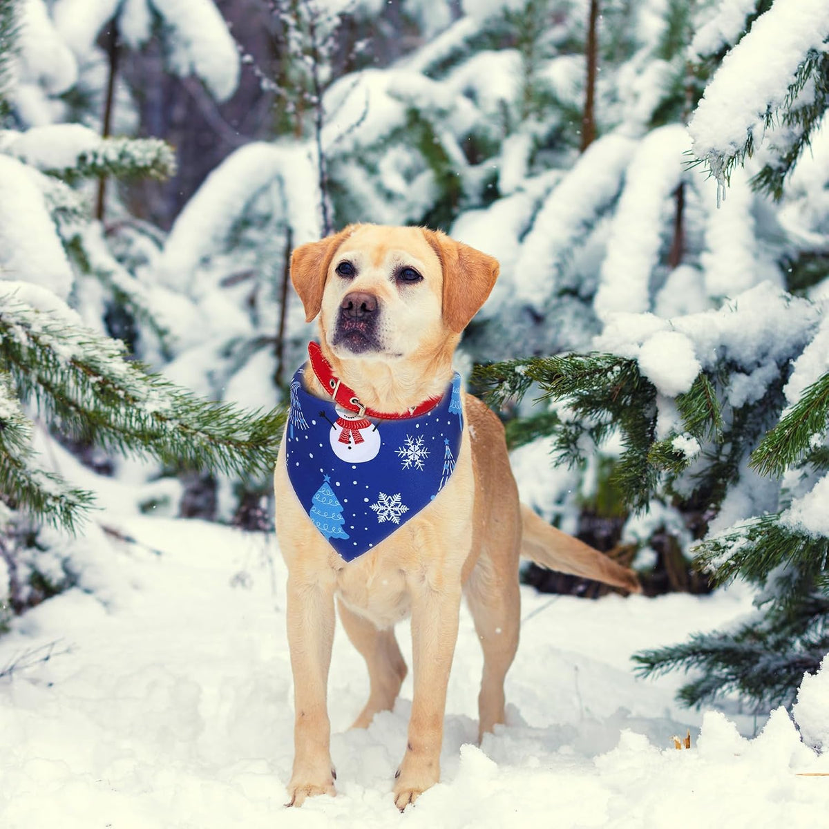 Abbylike 100 Pieces Winter Dog Bandanas Bulk Blue Snowflake Dog Bandanas for Pets Triangle Kerchief