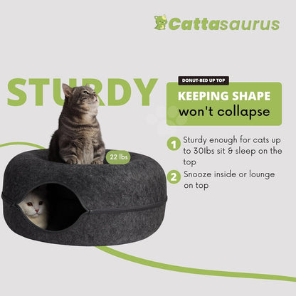 CATTASAURUS Peekaboo Cat Cave for Multiple & Large Cats Up to 30-45 Lbs, Scratch Detachable &