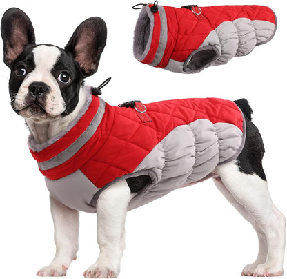 FUAMEY Dog Coat for Small Dogs,Waterproof Dog Winter Jacket with Harness Built in Puppy Cold