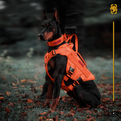 OneTigris Tactical Dog Harness for Small Dogs, No Pull Small Dog Vest Harness Breathable Military