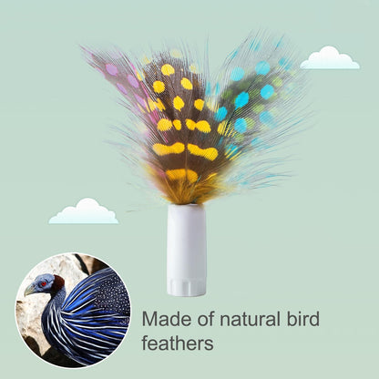 ORSDA 12Pcs Interchangeable Attachments Cat Feather Toys Replaceable Feathers and Fluffy Toy