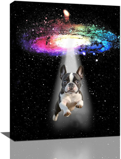 Funny Dog Wall Art Canvas Boston Terrier Wall Decor Prints Framed Painting Bulldog Galaxy Pictures