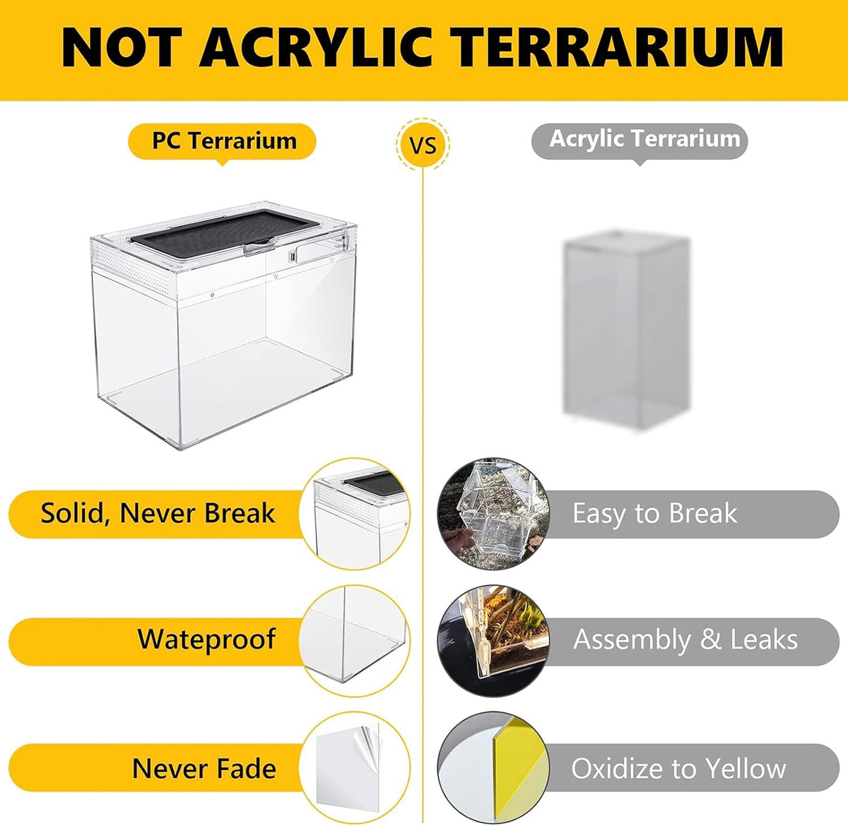 Reptile PC Terrarium,Anti Breakage 12x7x9 inch Insect Amphibians Tank Spider Starter Kits,Top
