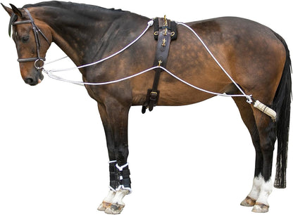 Advanced European Training System | Advanced Training Tool | Enhances Horse Carriage and Headset |