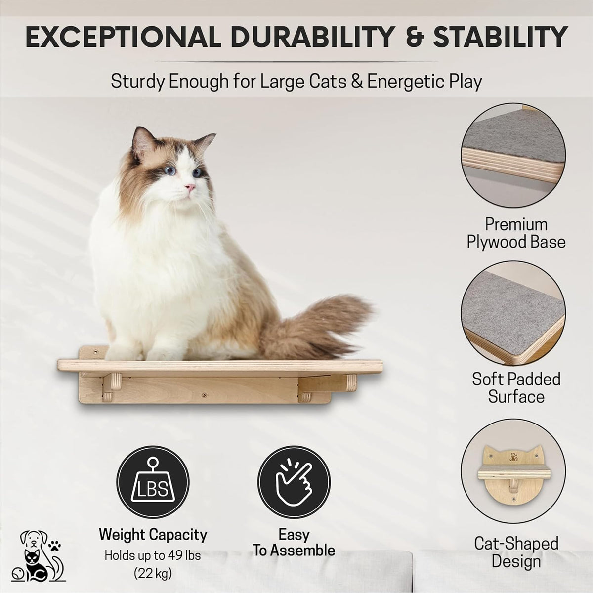 Snuggle & Play Cat Wall Shelves with Suction Cup Wand – 3 Mounted Steps, Climbing Wall Shelves and