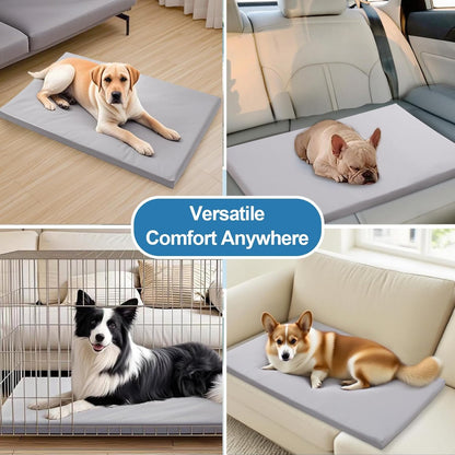 Dog Mat,19"x 30"Dogs Crate Pad,Indoor Non-Slip & Waterproof Dog Mat,Easy Wipe Clean in