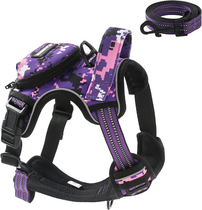 No Pull Dog Harness for Small Dogs, Adjustable No Choke Pet Vest with Dog Leash Fit Smart