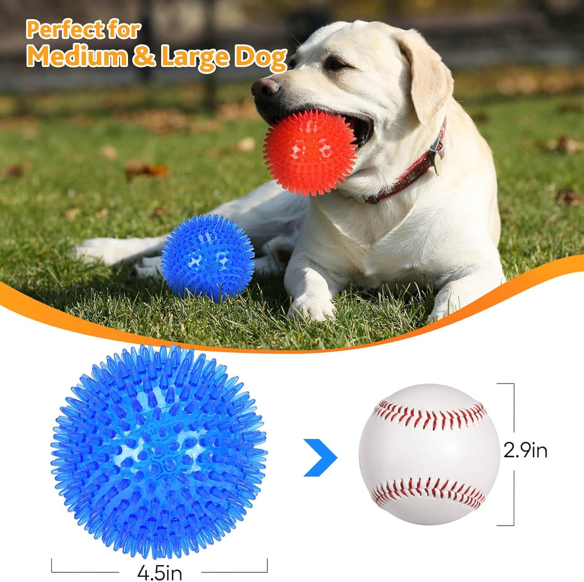 Petizer 2-Pack 4.5" Squeaky Dog Toy Balls, Floating Pool Balls, Spiky Balls, Interactive Fetch Toys