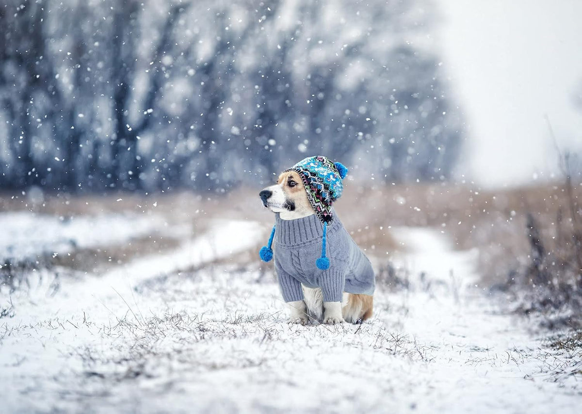 Queenmore Small Dog Pullover Sweater, Cold Weather Cable Knitwear, Classic Turtleneck Thick Warm