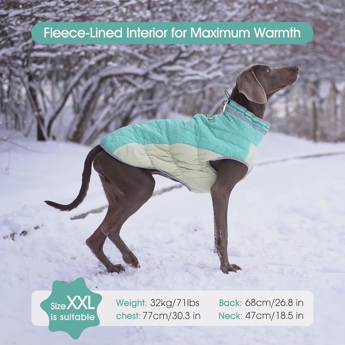 FUAMEY Dog Coat for Small Dogs,Waterproof Dog Winter Jacket with Harness Built in Puppy Cold