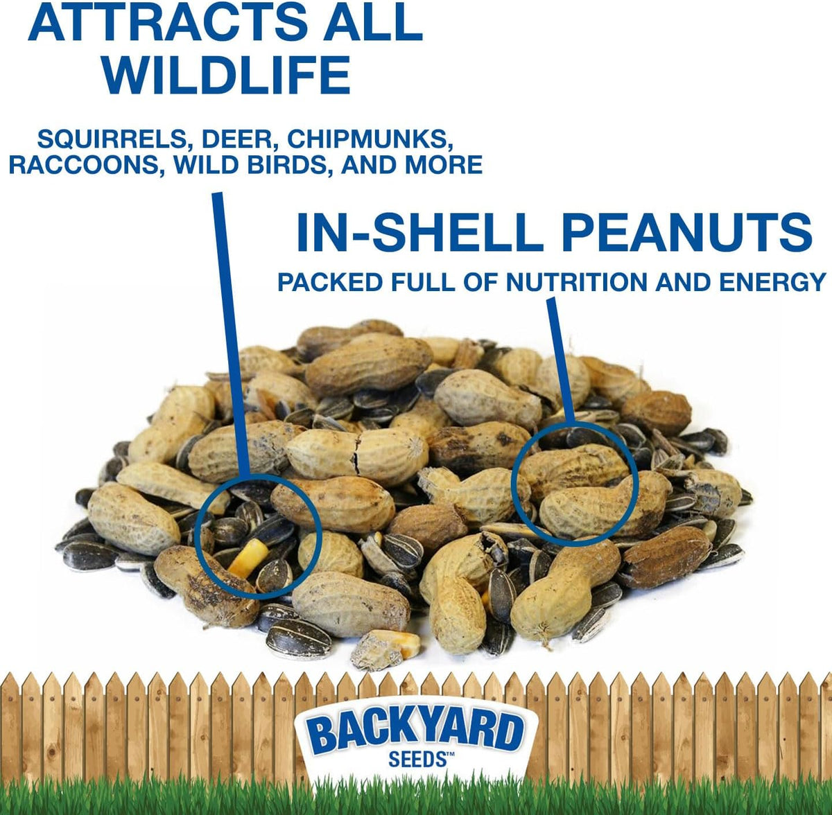 CountryMax Backyard Seeds Squirrel and Friends Wildlife Feed – 20 lb Non-GMO Mix for Squirrels