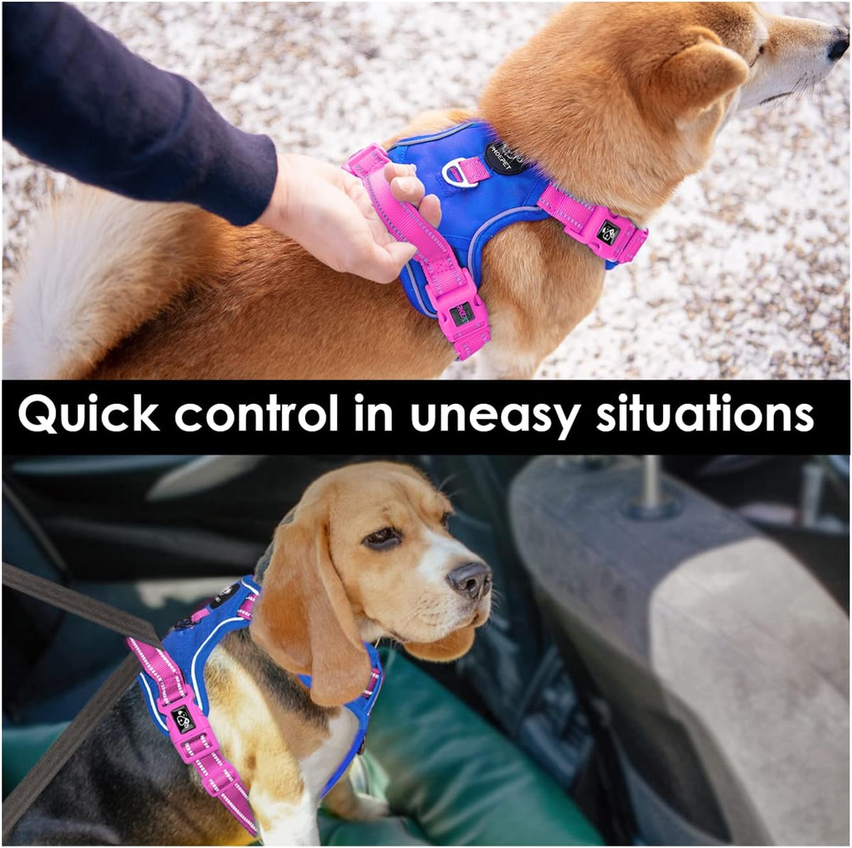 PHOEPET No Pull Dog Harness, Unique Colors Reflective Adjustable Dog Vest, with Soft Training