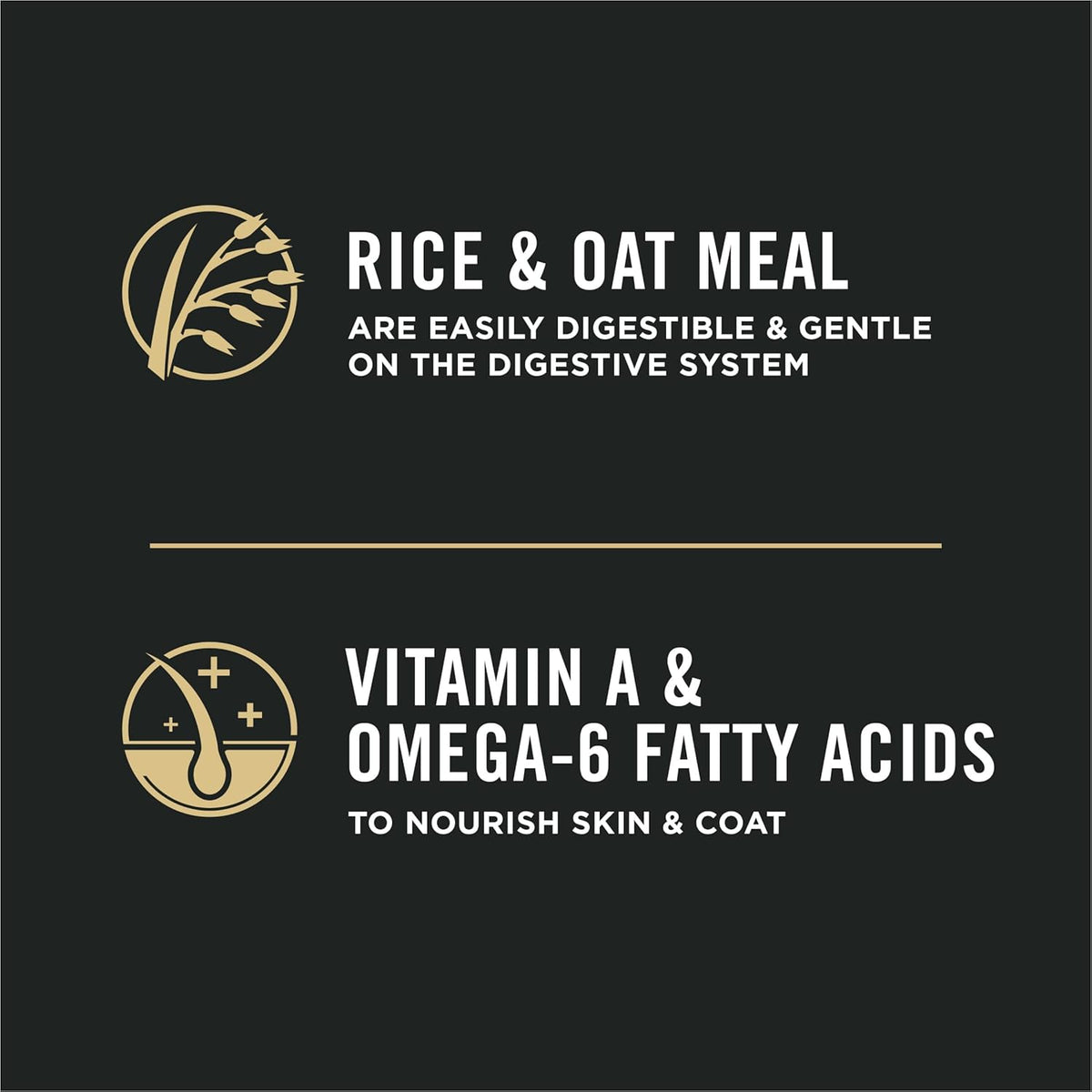 Purina Pro Plan With Probiotics, Sensitive Skin & Stomach, Natural Dry Cat Food, Turkey & Oat Meal
