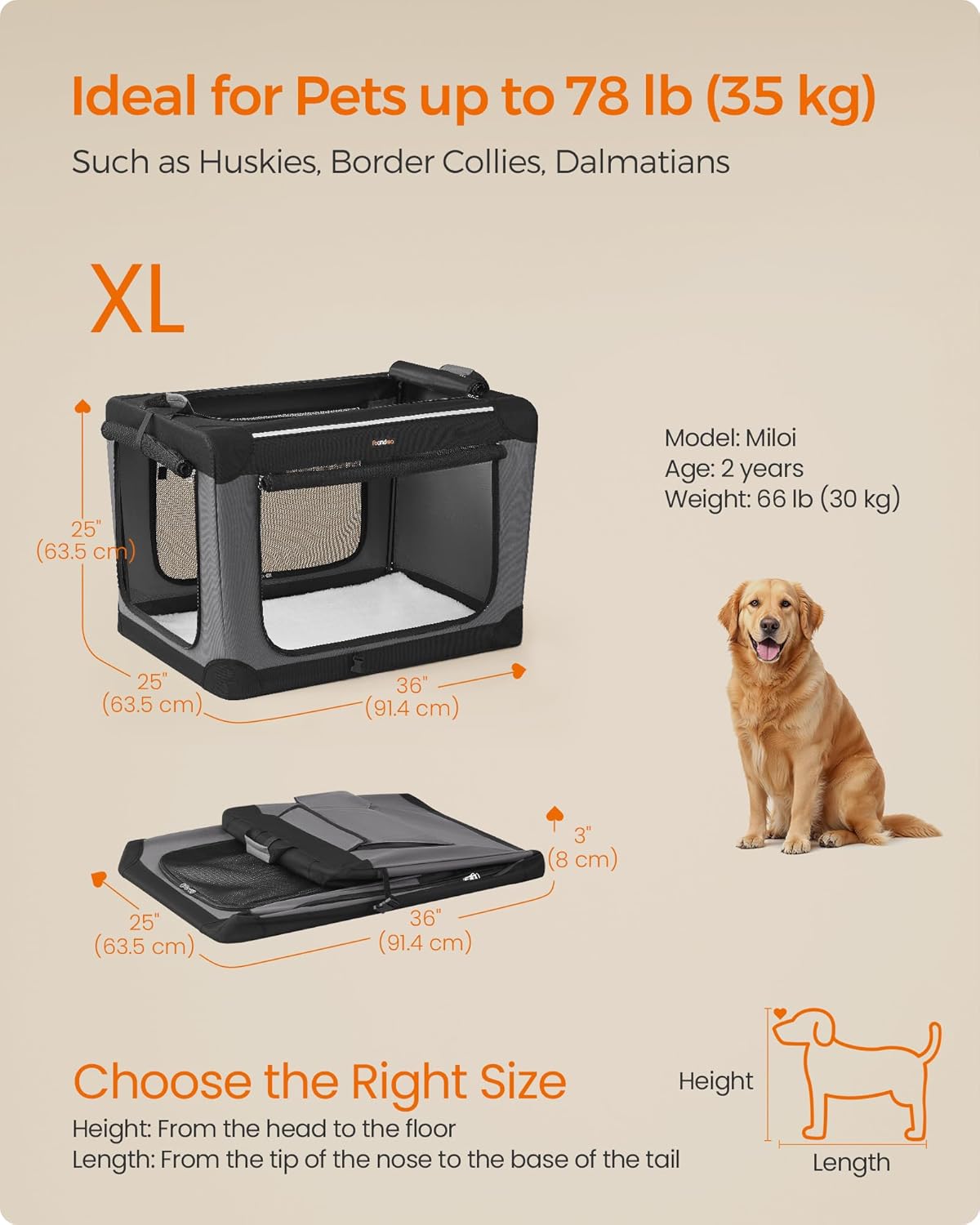 Feandrea Collapsible Dog Crate, 36-Inch Portable Dog Travel Crate for Large Dogs, Oxford Fabric Pet