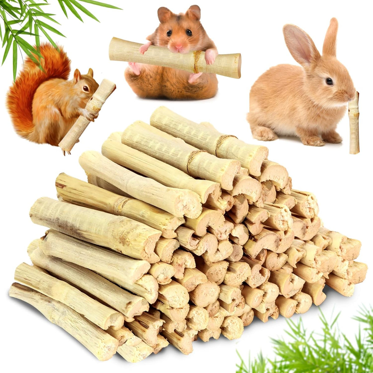 2lb Natural Sweet Bamboo Chew Toys for Small Pets - Organic Molar Sticks with Xylose & Vitamins for