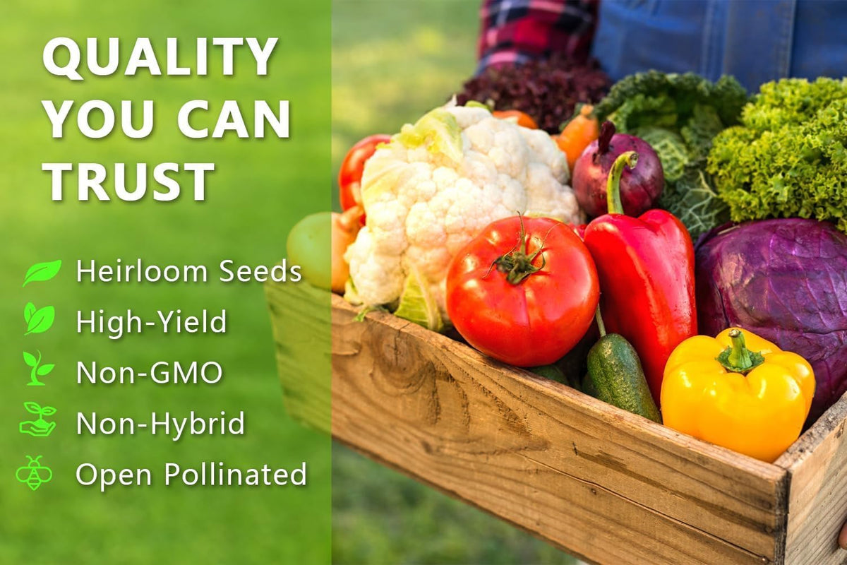 Vegetable Seeds Kit Fruit Seeds for Planting Non-GMO and Heirloom 35 Varieties Seeds for Planting