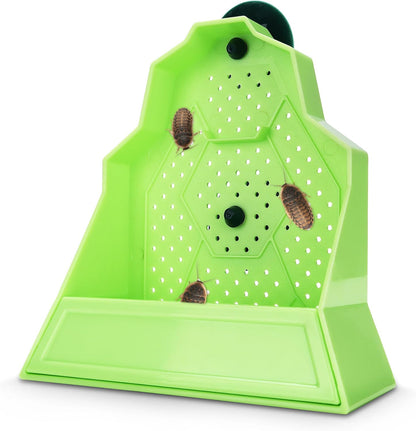 Reptile Anti-Escape Feeding Bowl, Wall-Mounted Feeder for Reptile, Stimulate Hunting Accessories