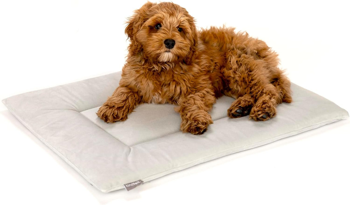KindTail Dog Crate Pad - Soft Velvet, Reversible Bed - Machine Washable Kennel Mat for Pets up to