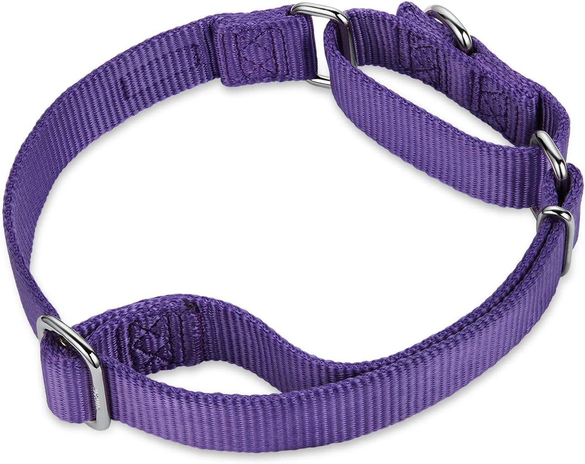 Hyhug Pets Premium Upgraded Heavy Duty Nylon Anti-Escape Martingale Collar for Boy and Girl Dogs