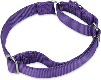 Hyhug Pets Premium Upgraded Heavy Duty Nylon Anti-Escape Martingale Collar for Boy and Girl Dogs