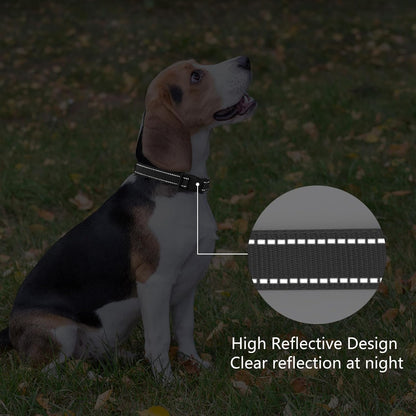 Reflective Dog Collar Padded with Soft Neoprene Breathable Quick Release Basic Dog Collars for