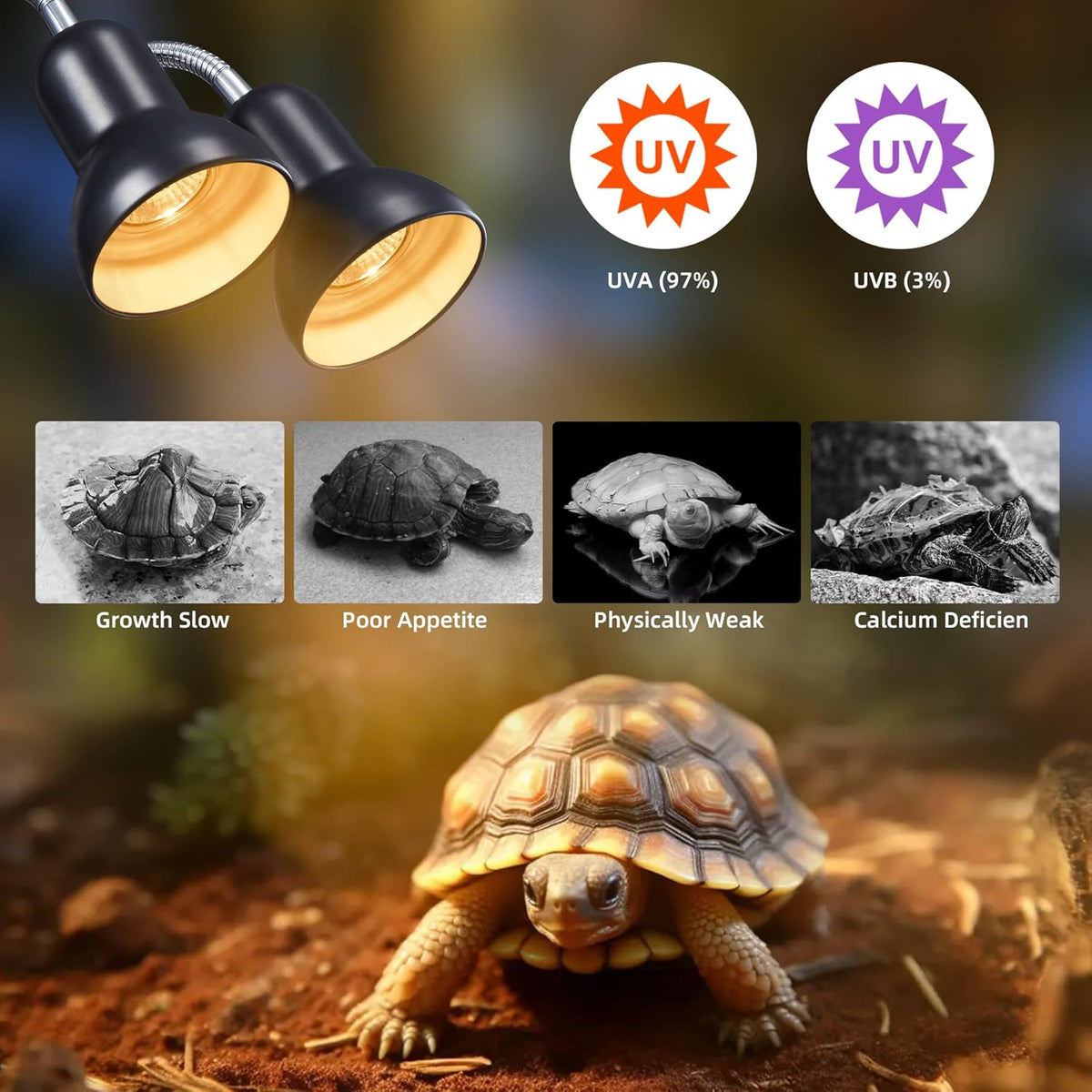 50W Reptile Heat Lamp Bulbs - UVA UVB Bulbs- Light Turtle Heat Lamp for Reptiles and Amphibian