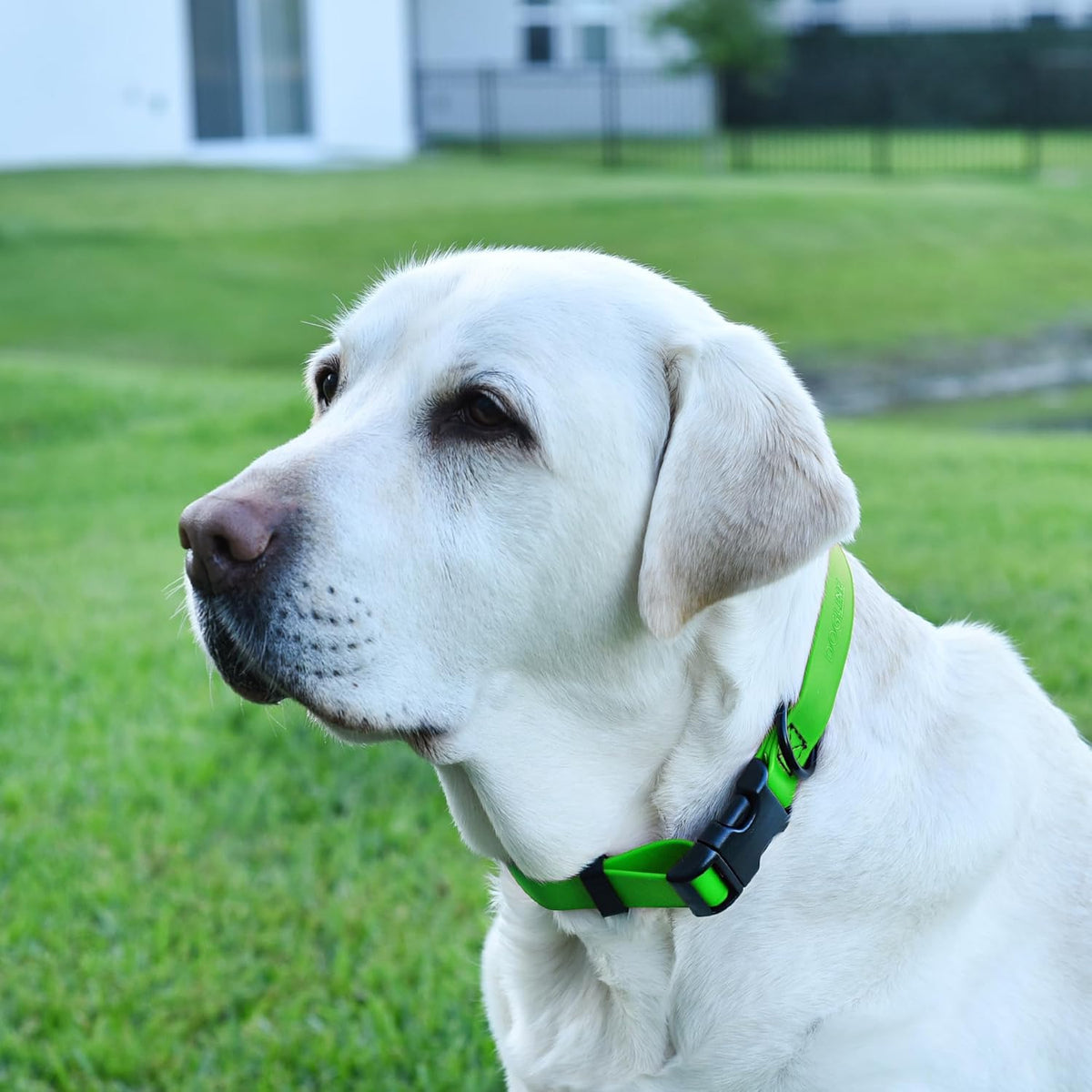 Dogline Biothane Waterproof Dog Collar with Quick Release Buckle Strong Coated Nylon Webbing with