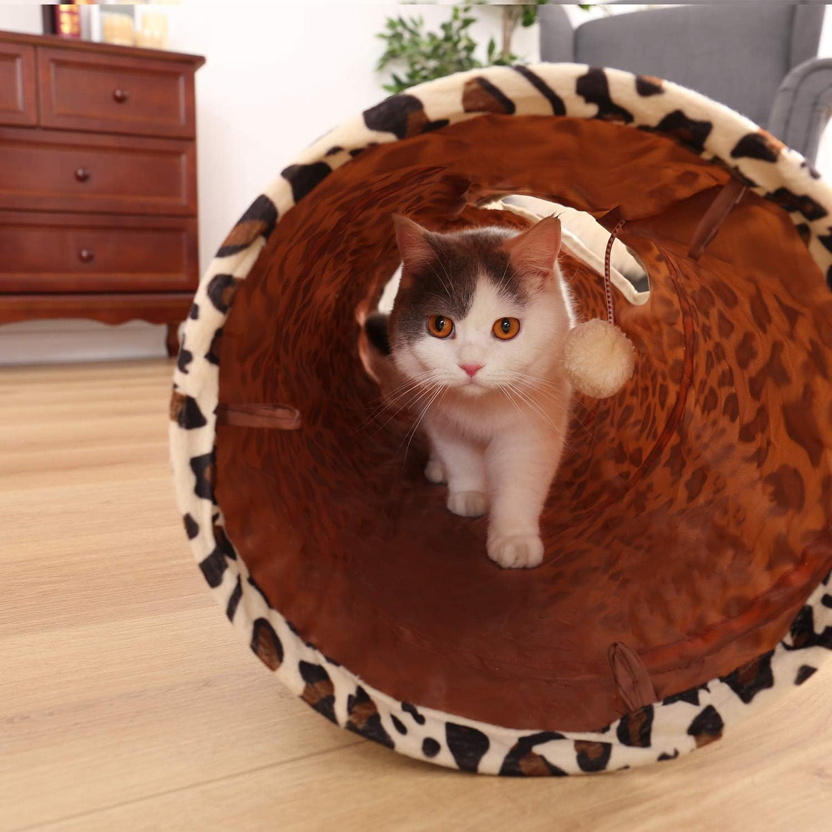 PAWZ Road XL Collapsible Cat Tunnel for Fat Cats & Rabbits - 51"x12" Extra Wide Pet Play Tunnel