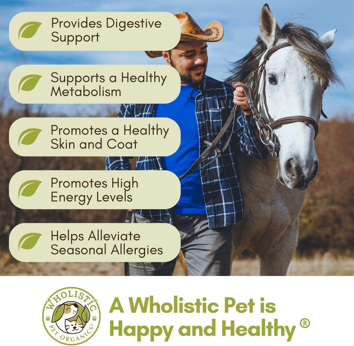 Wholistic Pet Organics Equine Complete: Horse Multivitamin for Total Body Health - Horse Supplement