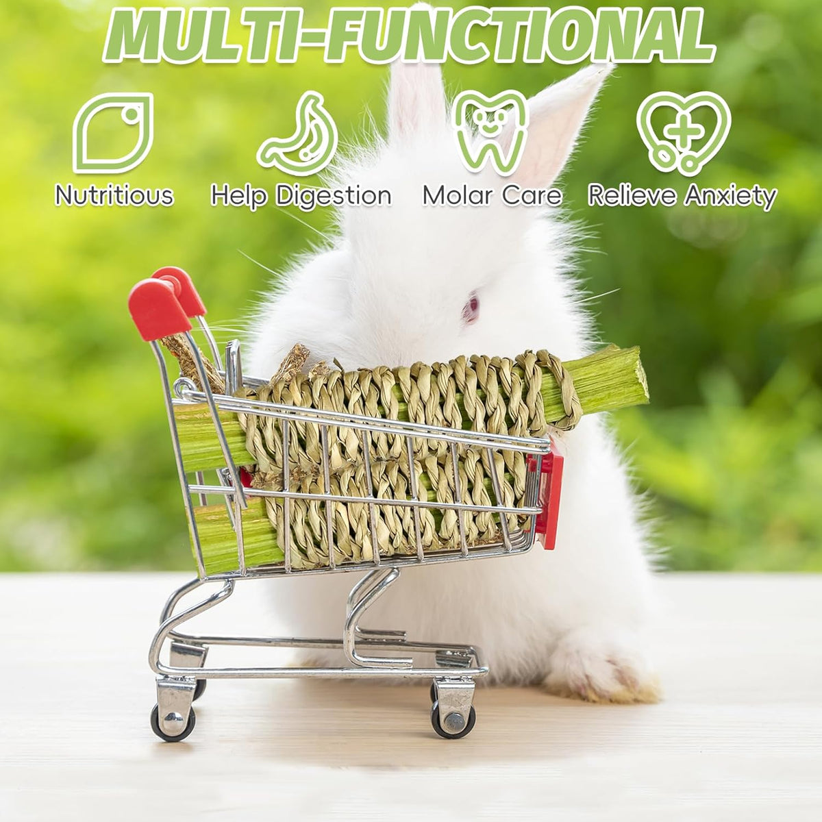 Fhiny 24 PCS Rabbit Chew Sticks, Natural Papaya Wood Seagrass Guinea Pig Chew Toys for Teeth Small