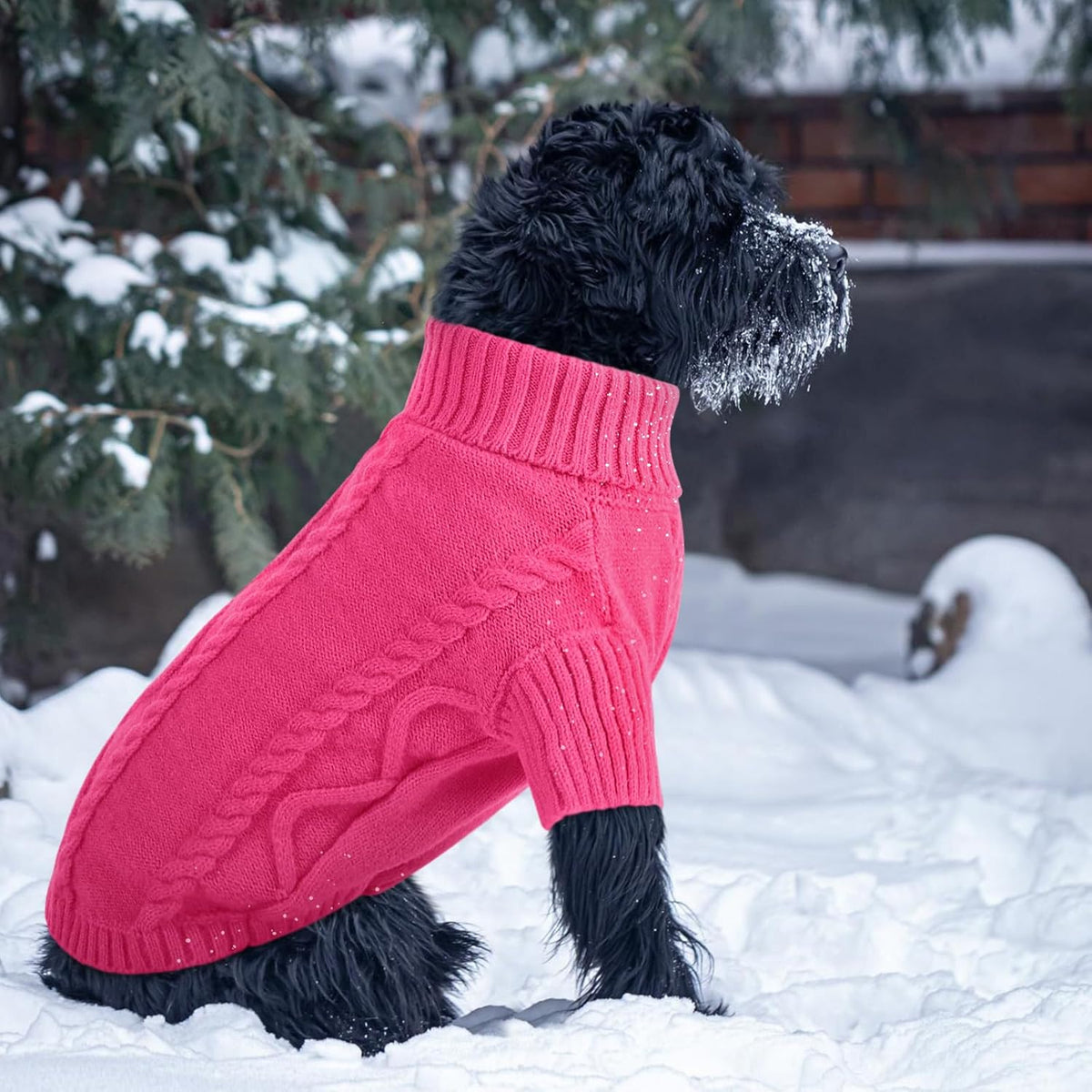 Queenmore Small Dog Pullover Sweater, Cold Weather Cable Knitwear, Classic Turtleneck Thick Warm