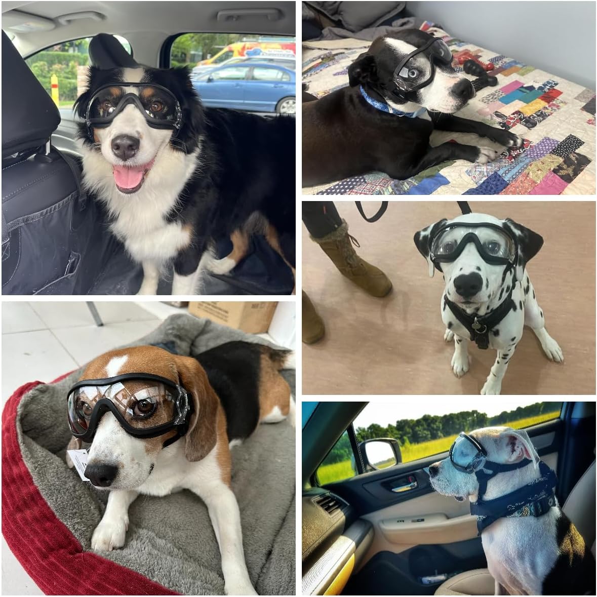 Dog Goggles Anti-UV Windproof Dog Sunglasses Eye Protection for Medium Large Dogs with Adjustable