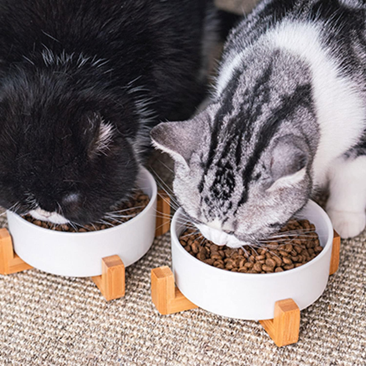 Petygooing Ceramic Dog Cat Bowl Set with Stand, Pet Dog Food and Water Dish,Medium Pet Bowls Anti