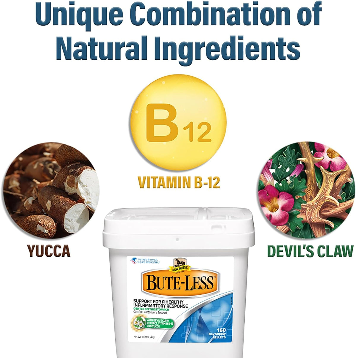 Absorbine Bute-Less Comfort & Recovery Support Supplement, Provides Long-Term Comfort, Gentle on