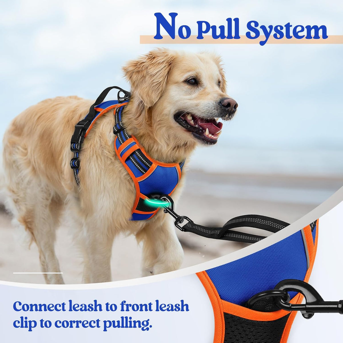 rabbitgoo Dog Harness No Pull with 2 Leash Clips, Adjustable Soft Padded, Reflective Oxford No
