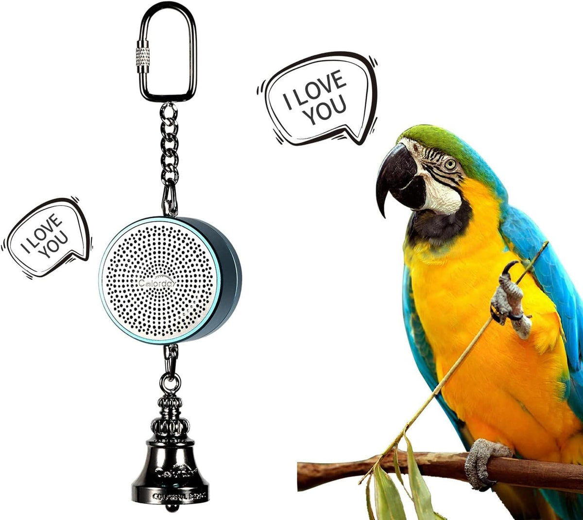 Colorday Bird Toys Parrot Talking Coach & Interactive Voice Bell for Parakeet, African Grey, Amazon