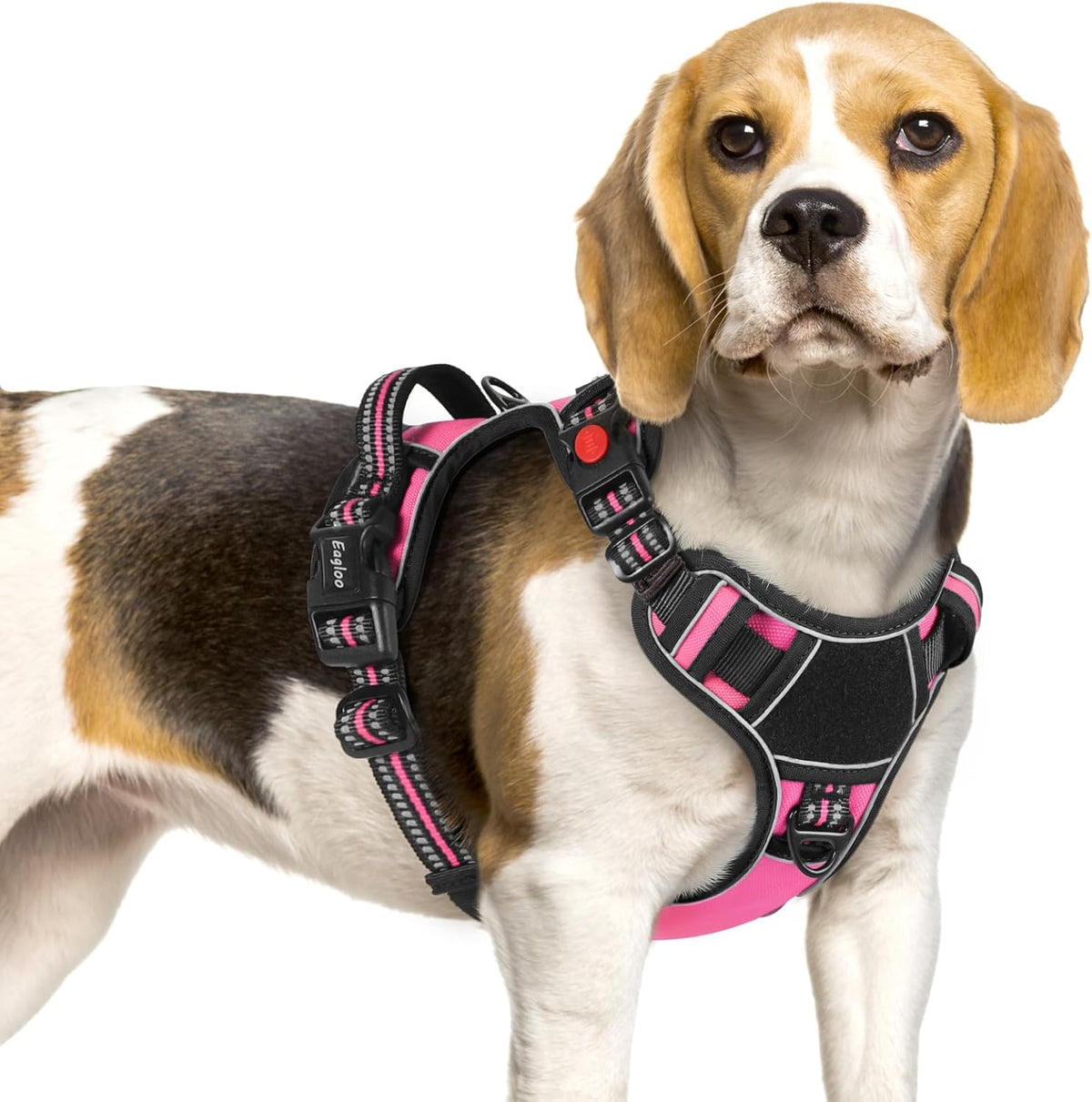 Eagloo Dog Harness Small Sized, Easy Wearing with 3 Buckles, Adjustable No Pull Pet Harness with 2
