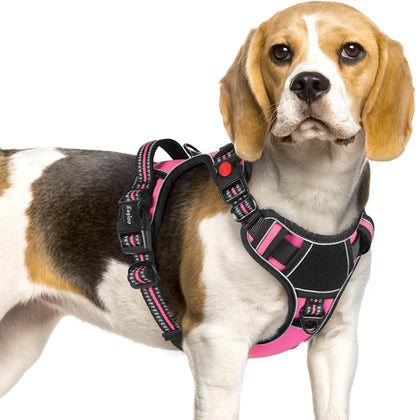 Eagloo Dog Harness Small Sized, Easy Wearing with 3 Buckles, Adjustable No Pull Pet Harness with 2