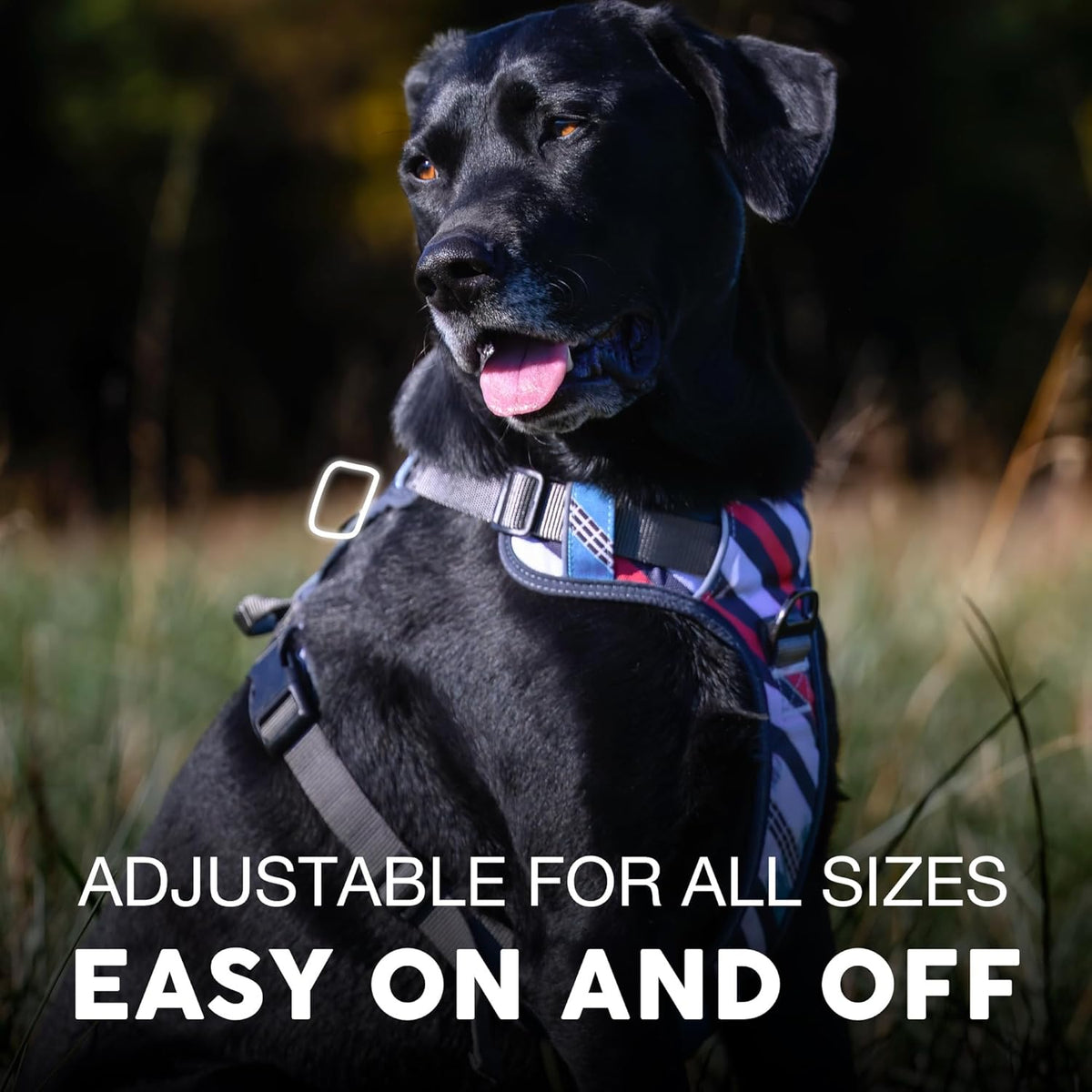 Embark Adventure Dog Harness, Reflective Trim No Pull Dog Harness for Large Dogs - Military Grade
