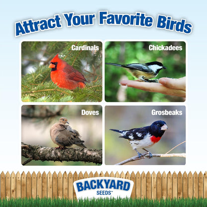 Backyard Seeds Premium Blend Bird Seed 20 lb - to Attract Songbirds - Wild Bird Food Mix with Black