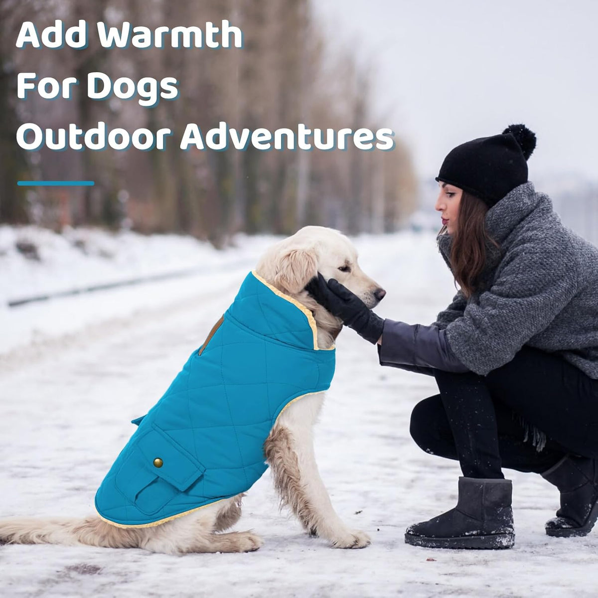 Queenmore Dog Winter Coat Warm Puffer Jacket Waterproof Plush Lining Thermal Cold Weather Vest for