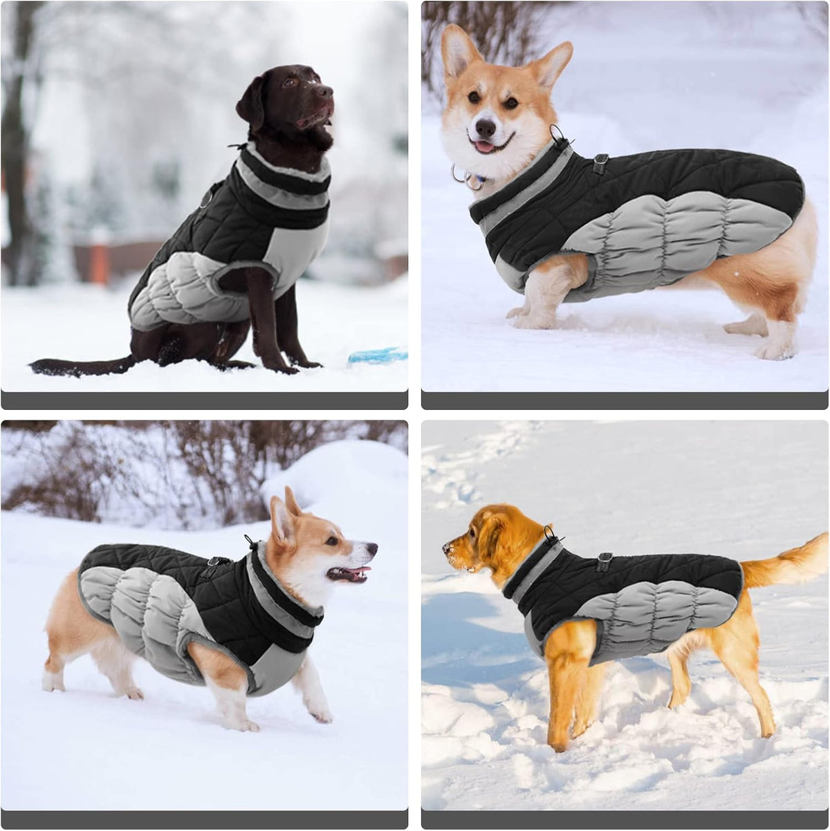FUAMEY Dog Coat for Medium Dogs,Waterproof Dog Winter Jacket with Harness Built in Puppy Cold
