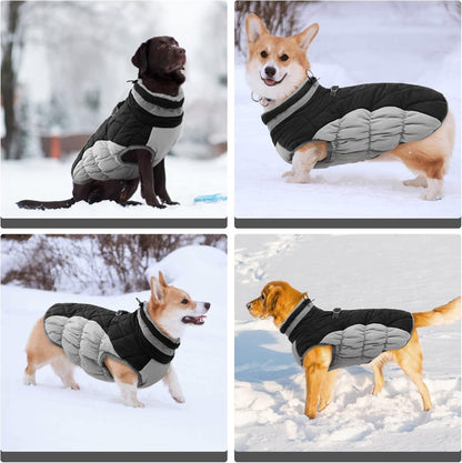 FUAMEY Dog Coat for Medium Dogs,Waterproof Dog Winter Jacket with Harness Built in Puppy Cold