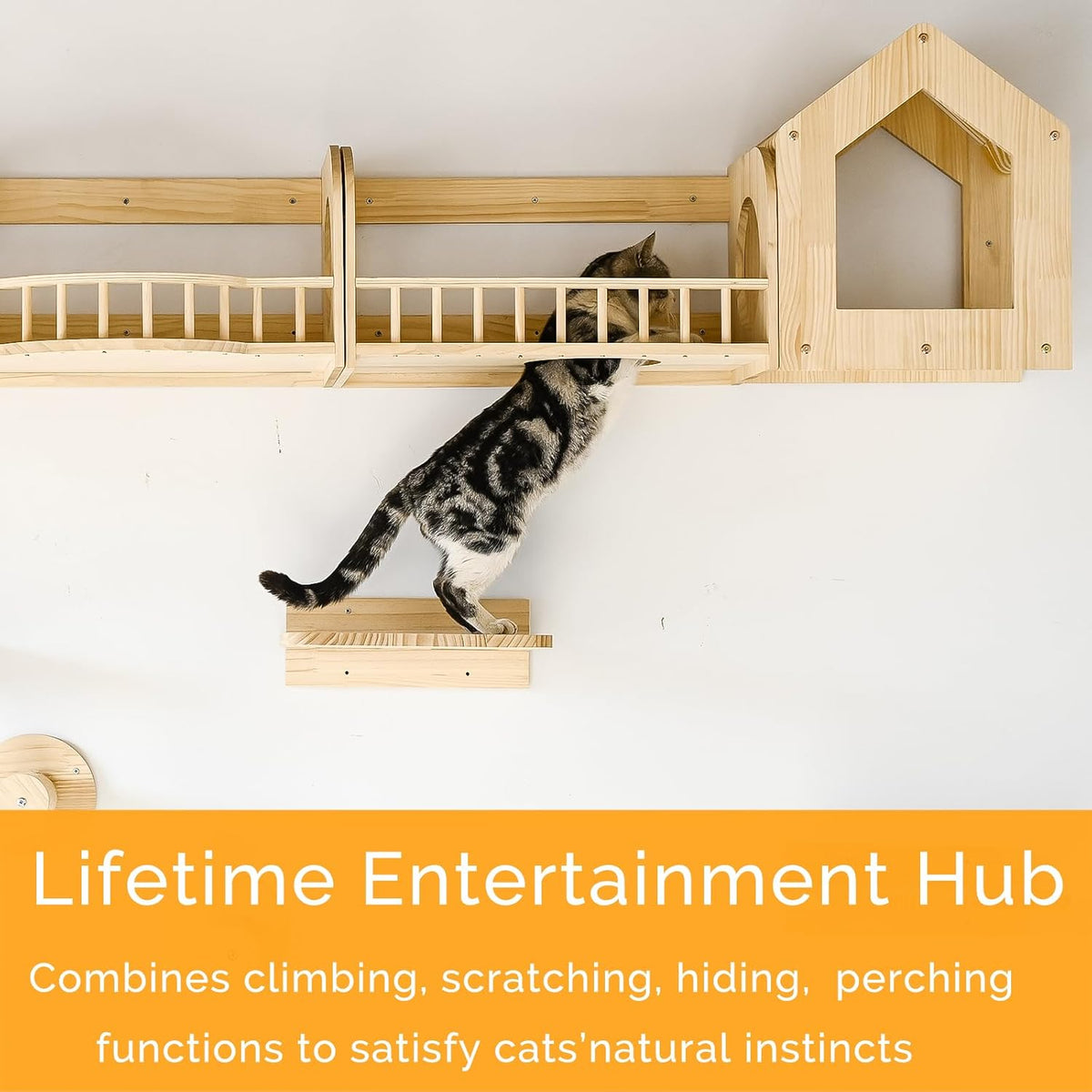 Cat Wall Shelves and Furniture Set with Condos, Perches, Bridge Ladders, Sisal Scratching Posts