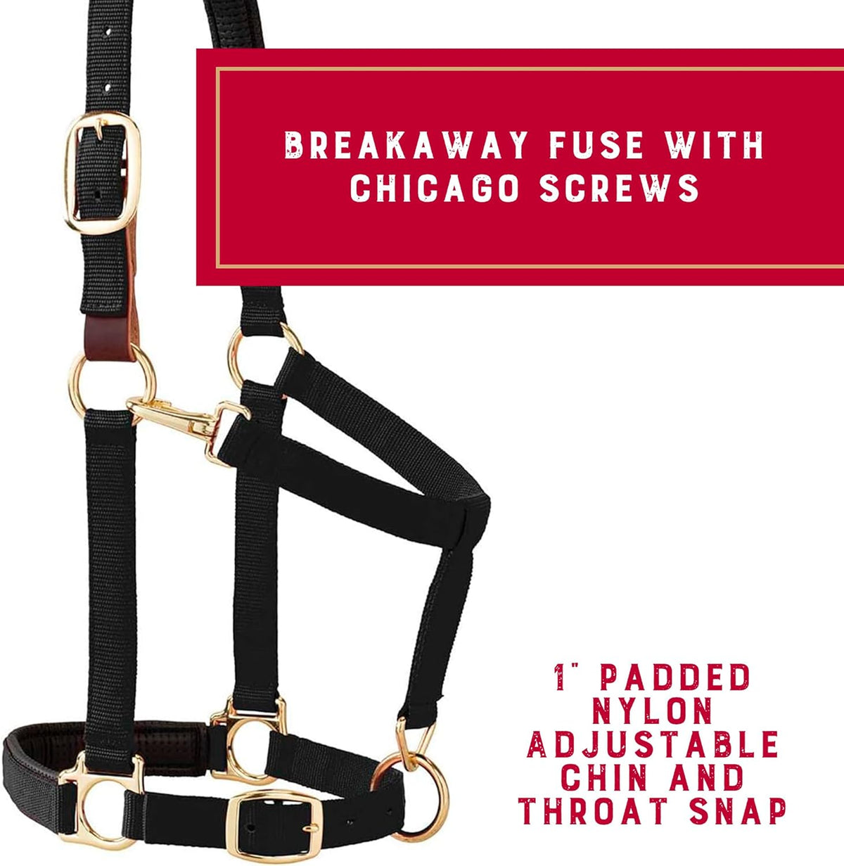 Weaver Equine Breakaway Horse Halter, Comfort Foam Padding, Adjustable Chin & Throat Snap Halters