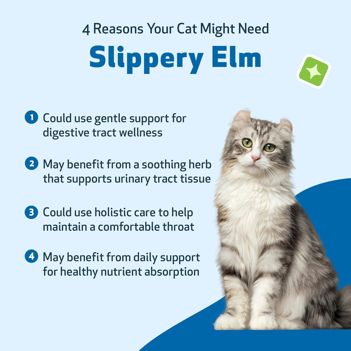 Pet Wellbeing Slippery Elm for Cats - Organic Herb, Supports Healthy Digestive Tract, Gut Lining