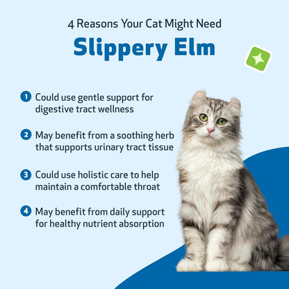 Pet Wellbeing Slippery Elm for Cats - Organic Herb, Supports Healthy Digestive Tract, Gut Lining